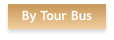 By Tour Bus