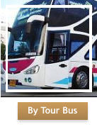 By Tour Bus